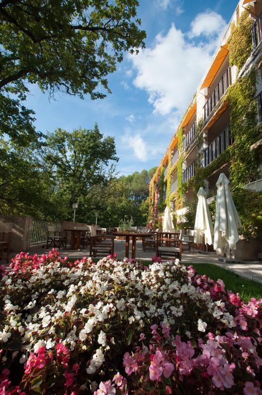 วีลา บอร์เกเซ ดิ ออรจินัล เรอแล Hotel Greoux-les-Bains ภายนอก รูปภาพ